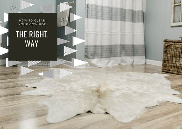 How to clean your cowhide rug.