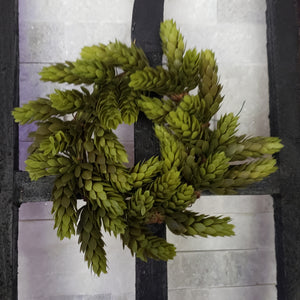 Green Hops Mini Wreath