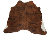 Medium Brindle