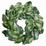 Green magnolia wreath, 17 inch on white background