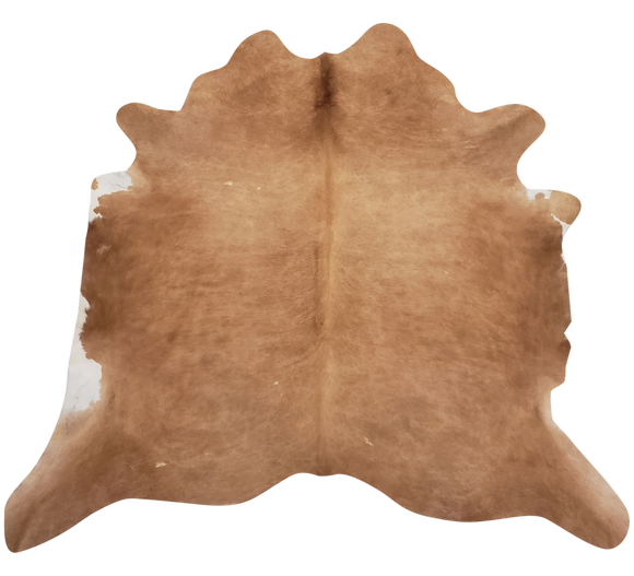 Extra large palomino rug with white patches around the edges. 