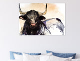 Black Shorthorn Bull Print